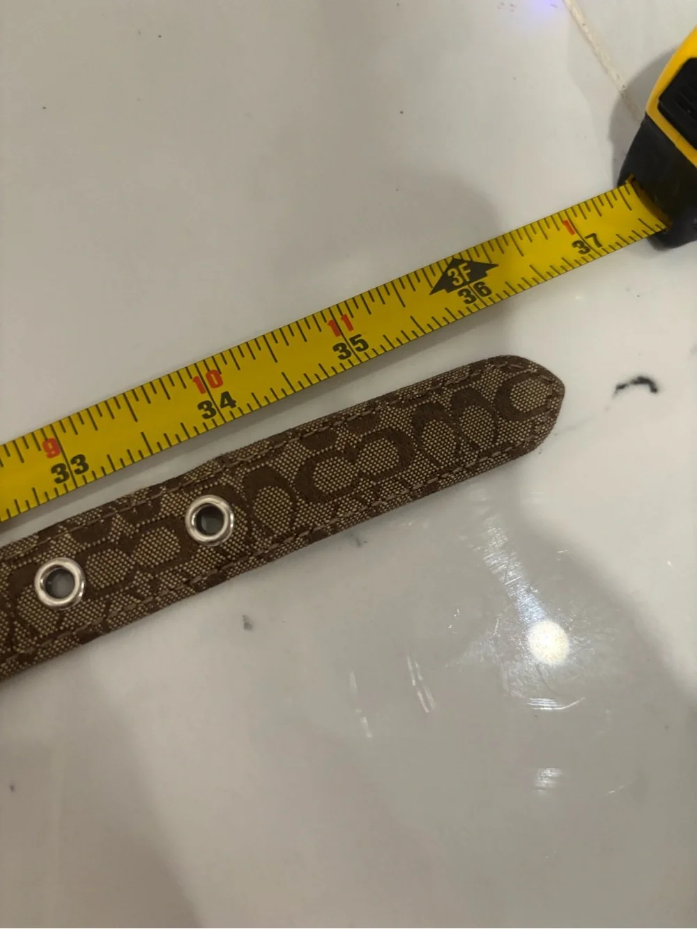 Women’s Coach Belt